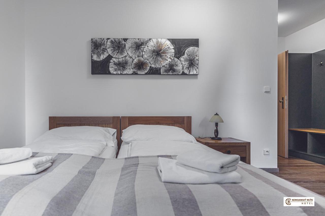 Hotel Nemojansky Mlyn Nemojany Dış mekan fotoğraf