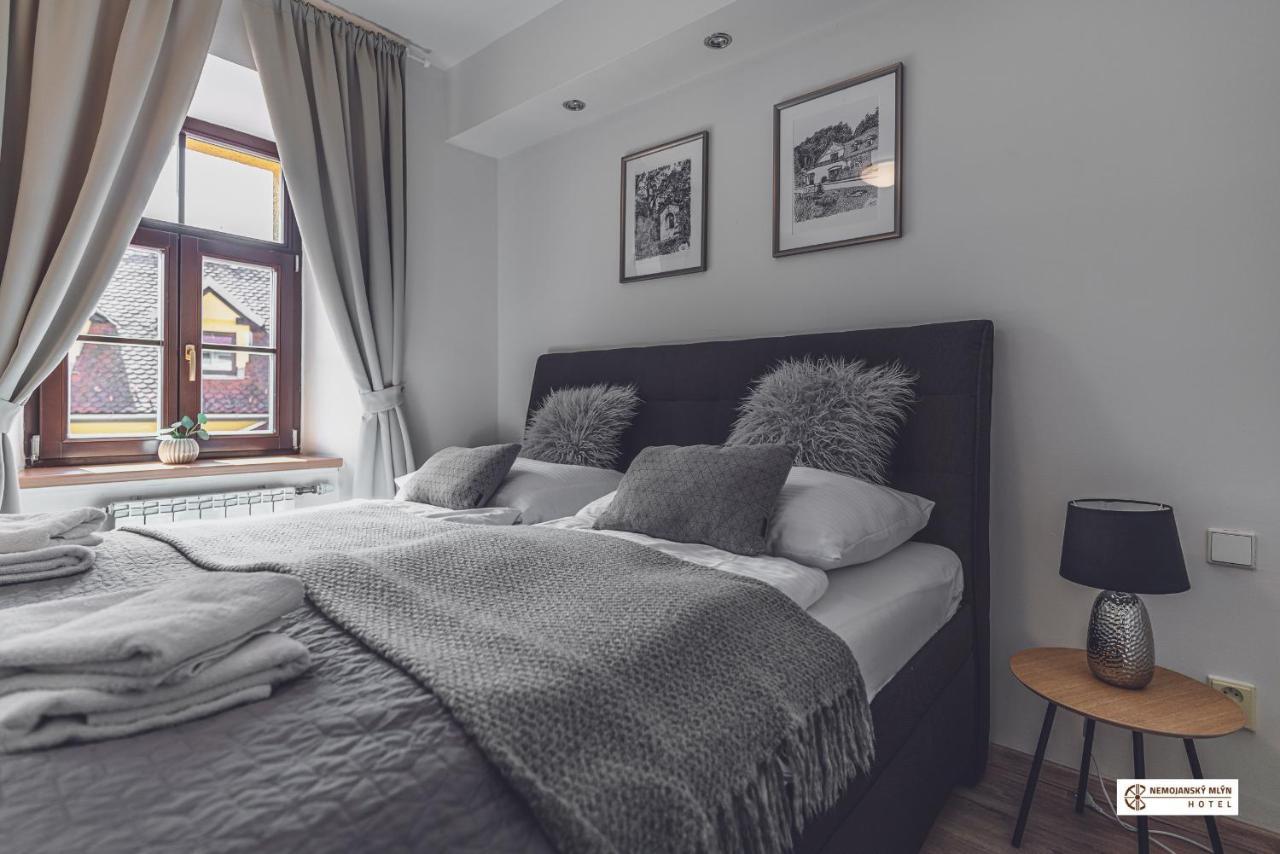 Hotel Nemojansky Mlyn Nemojany Dış mekan fotoğraf